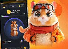 ارگان مطبوعاتی نزدیک به زاکانی: پول همستر خوردن دارد؟