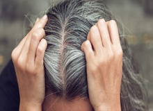 موهای خاکستری می‌توانند نشانه یک مکانیزم دفاعی بدن باشد