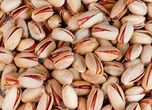 تأثیر مصرف پسته در شب بر میکروبیوم روده در مبتلایان پیش‌دیابت