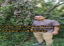 خرید1000نوع ارقام نهال تجاری از بزرگترین تولیدکننده نهالستان ایران