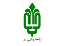 بنیاد مستضعفان: در ساخت پلاسکو خلاف ضوابط اقدام نخواهیم کرد

