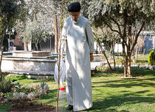 رییسی یک اصله نهال کاشت 