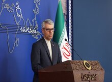 بقائی: پیگیری‌ها برای آزادی مشروط و انتقال مهدیه اسفندیاری به مکانی خارج از زندان ادامه دارد