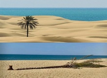 اشاره تلویحی مدیر میراث فرهنگی به دلیل قطع تک درخت درک به دلیل بدحجابی گردشگران/ مصلحی:  یکی از دلایل قطع تک درخت عدم احترام گردشگران به فرهنگ محلی مردم بود/ جامعه ما مذهبی است