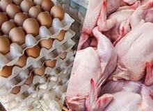 نبی پور، رئیس هیات‌مدیره اتحادیه مرغ تخم‌گذار:  قیمت مرغ و تخم‌مرغ سال آینده افزایش چشمگیر پیدا می کند/ به دلیل افزایش قیمت مصرف مرغ و تخم مرغ کمتر شده/ ابراهیمی، مدیرعامل اتحادیه مرغداران گوشتی: جنگ ایران و اسرائیل قیمت مرغ را افزایش داد