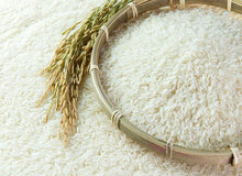 رئیس اتحادیه بنکداران مواد غذایی: قیمت برنج ایرانی نصف شد/شکر کمیاب شد