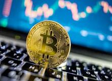 افزایش سلطه بیت کوین به 64٪ در بازار کریپتو