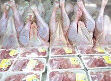 ادامه توزیع گوشت و مرغ دولتی/ شکایت از طرح‌کنندگان وجود انگل در گوشت
