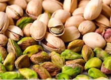 رشد ۸۳ درصدی باغات پسته در یک دهه اخیر