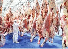 فروش گوشت بز به اسم گوشت قرمز ارزان!/ تهدید معیشت ۵ میلیون ایرانی
