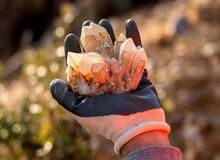 جست‌وجوی طلا در بیابان‌های استرالیا به کشف ماده‌ای نادرتر منجر شد
