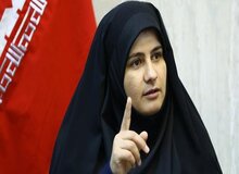 نماینده مجلس: بودجه مقابله با ریزگردها حذف نشده است/ برای «مالچ‌پاشی» بودجه داریم برای حمل و نقل آن نه!