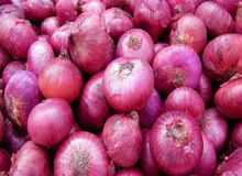 واردات پیاز به کشور برای تنظیم بازار