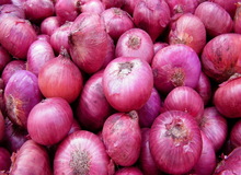 واردات پیاز به کشور برای تنظیم بازار