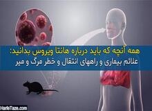 درباره "هانتا ویروس" بیشتر بدانید/ روش انتقال، علائم بالینی، راه های پیشگیری / هشدار معاون پیشگیری وزارت بهداشت: برنامه کنترل موش ها در شهرها جدی گرفته شود