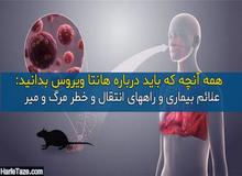 درباره "هانتا ویروس" بیشتر بدانید/ روش انتقال، علائم بالینی، راه های پیشگیری / هشدار معاون پیشگیری وزارت بهداشت: برنامه کنترل موش ها در شهرها جدی گرفته شود