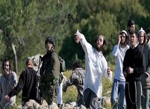اسرائیلی‌ها از گازهای سمی علیه ساکنان کرانه باختری استفاده کردند
