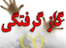 مونوکسیدکربن با علائم سرماخوردگی جانتان را می‌گیرد / روایتی از نجات ۴ عضو یک خانواده / ۸۳۰ قربانی در یک سال