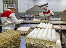 قیمت تخم مرغ در فروشگاه‌های زنجیره‌ای ۴۵۰ هزار تومان / کاهش مصرف تخم مرغ تا پایان سال