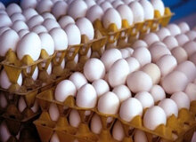 با مضرات ناشناخته تخم مرغ آشنا شوید