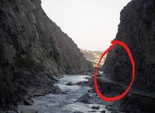 «فصل درو» در پنجشیر رسید!/ تعداد زیادی از نیروهای طالبان کشته و تسلیم شدند