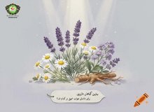 بهترین گیاه برای خواب عمیق چیست؟ معرفی مؤثرترین گیاه دارویی برای داشتن خوابی آرام