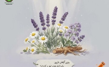 بهترین گیاه برای خواب عمیق چیست؟ معرفی مؤثرترین گیاه دارویی برای داشتن خوابی آرام