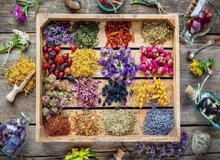 آیا مصرف گیاهان دارویی باعث بروز کبد چرب می‌شود؟