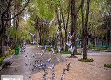 وضعیت شهر اصفهان پس از شیوع کرونا +تصاویر 