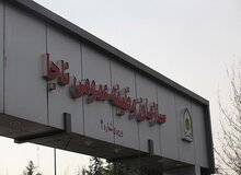 توضیحات سازمان وظیفه درباره کسرخدمت «عالیشاه» و «نورالهی»
