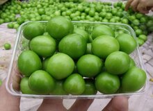 ماجرای گوجه‌سبز ۴ میلیون تومانی در تجریش/ این گوجه‌سبزها از کجا آمده است؟