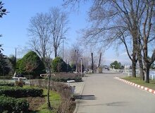
جزئیات شهادت مامور انتظامی در پارک دانشجو