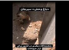 شرایط بد حیوانات در باغ وحش سیرجان/FILM