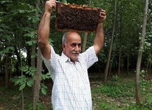 زنبورها این مرد را نیش نمی‌زنند/ زنبورها را عصبانی نمی کنم!+ تصاویر