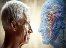رژیم غذایی می‌تواند تا حدی ‌پیری مغز را معکوس کند