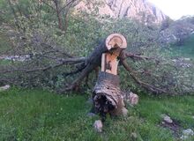 اعلام نظر کارشناسی پرونده اردوی دانش‌آموزی مینودشت؛ آموزش‌وپرورش، مسئولان مدرسه شاهد و اداره منابع طبیعی مقصر شناخته شدند