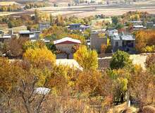 گازگرفتگی ۳۱ نفر از معتکفان در روستای فرومد میامی / بالگرد اورژانس به منطقه اعزام شد
