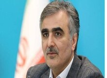 فرزین: مازاد تجاری ایران از ۲۶میلیارد دلار گذشت/ افزایش ۳۷درصدی ذخایر طلا