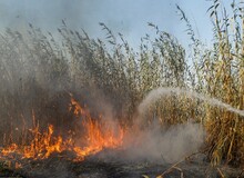 فرمانداری: تالاب انزلی همچنان در آتش می‌سوزد و احتمال افزایش وسعت حریق به ۱۰ هکتار وجود دارد
