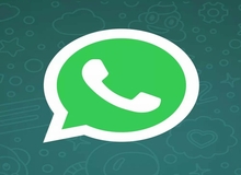 مهاجرت لاک پشتی مردم از تلگرام به واتساپ
