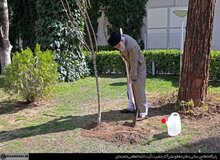 کاشت دو نهال توسط رهبر انقلاب در هفته منابع طبیعی/ توصیه‌های رهبر انقلاب برای مقابله با کرونا/  آیت الله خامنه‌ای: این بلا آنچنان بزرگ نیست و بزرگ‌تر از آن نیز وجود داشته است

