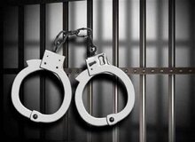 دستگیری سلاطین بازار مرغ/ بیش از ۵۳ تن مرغ کشف شد