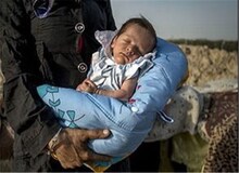 تحویل ۶۰۰ نوزاد در معرض فروش به بهزیستی