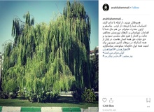پُست جنجالی اینستاگرامی، آناهیتا همتی را وادار به عذرخواهی کرد+ عکس
