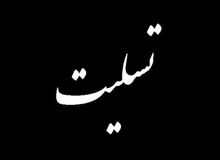 آیت الله هاشمی شاهرودی به آیت الله مدرسی یزدی تسلیت گفت