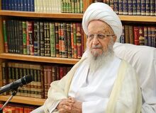 آیت‌الله مکارم شیرازی: اگر سگ گردانی ممنوع هم نباشد پلیس می تواند با این پدیده برخورد نماید/مصادره سگ های آپارتمانی اشکال شرعی ندارد
