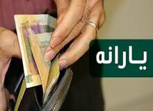 با تصویب مجلس: امکان درخواست مجدد دریافت یارانه فراهم شد
