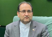 عضو کمیسیون امنیت ملی و سیاست خارجی: برخی استانداران دولت به معنای واقعی کلمه «تعطیل» اند
