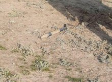 اصابت یک خمپاره به روستایی در آذربایجان شرقی/  مرزبانی آذربایجان شرقی در حالت آماده‌باش قرار گرفت
