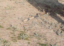 اصابت یک خمپاره به روستایی در آذربایجان شرقی/  مرزبانی آذربایجان شرقی در حالت آماده‌باش قرار گرفت
